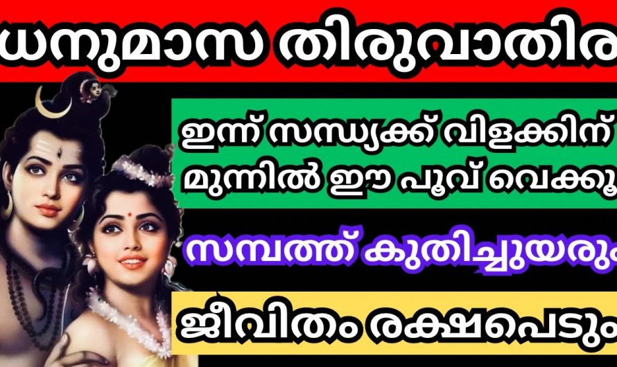 ഇന്ന് സന്ധ്യയ്ക്ക് നിലവിളക്കിനു മുന്നിലായി ഈ മന്ത്രങ്ങൾ ചൊല്ലുക ജീവിതം മാറിമറിയും- ധനു മാസത്തിലെ തിരുവാതിര…