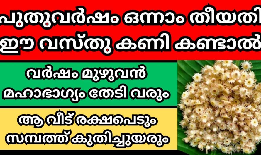 ജനുവരി ഒന്നാം തീയതി നിലവിളക്കിനു മുന്നിലായി ഈ വസ്തുക്കൾ സമർപ്പിക്കൂ ജീവിതം രക്ഷപ്പെടും…