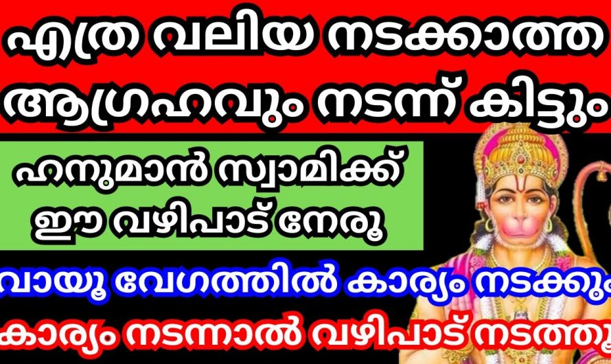 ഹനുമാൻ സ്വാമിക്ക് ഈ വഴിപാട് ചെയ്താൽ നിങ്ങളുടെ ഏത് ആഗ്രഹവും നടക്കും, ഇത് സത്യമാണ്….