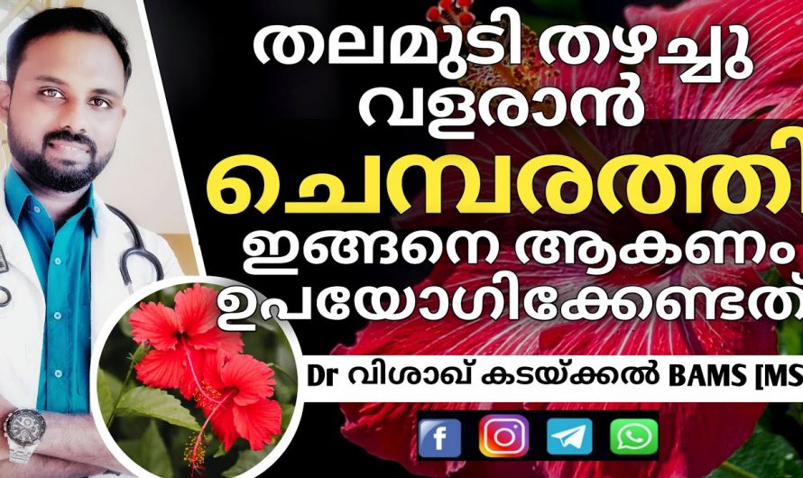 എത്ര വളരാത്ത മുടിയും തഴച്ചു വളരാൻ ചെമ്പരത്തി കൊണ്ട് ഇങ്ങനെ ചെയ്താൽ മതി…