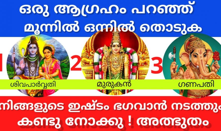 ഇവയിൽ ഏതെങ്കിലും ഒന്ന് തിരഞ്ഞെടുക്കു, നിങ്ങളെ കുറിച്ച് ഒരു രഹസ്യമുണ്ട് ഇത് സത്യമാണ്….