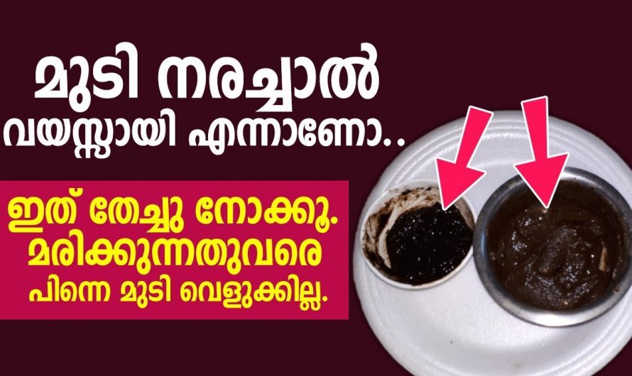 മുടി കറുക്കാനും വളരാനും ഇത് ഉപയോഗിച്ചു നോക്കൂ, ഇനി വെളുത്ത മുടി ഒന്നുപോലും ഉണ്ടാവില്ല…