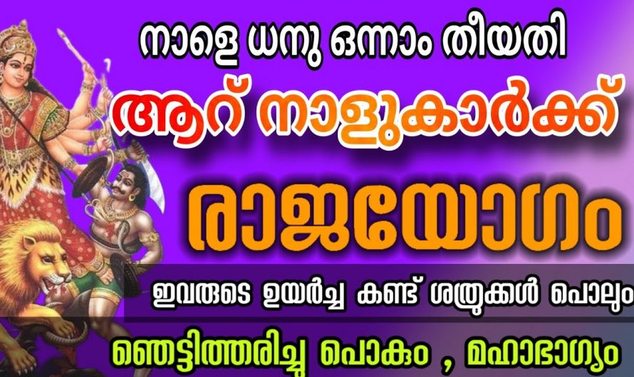 ധനുമാസം ഒന്നാം തീയതി മുതൽ ഈ ആറു നാളുകാർക്ക് സൗഭാഗ്യത്തിന്റെ പെരുമഴ…