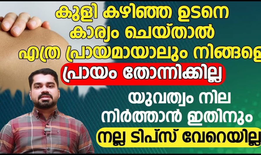 യുവത്വം നിലനിർത്താൻ ഈ കാര്യങ്ങൾ ശ്രദ്ധിച്ചാൽ മതി, എന്നും പതിനെട്ടിന്റെ തിളക്കം…