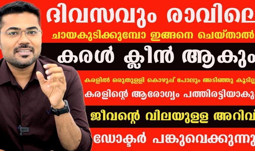 നിങ്ങൾ ചെയ്യുന്ന ഈ തെറ്റുകളാണ് കരളിൻറെ ആരോഗ്യത്തെ നശിപ്പിക്കുന്നത്, ഇത് ഒഴിവാക്കൂ…