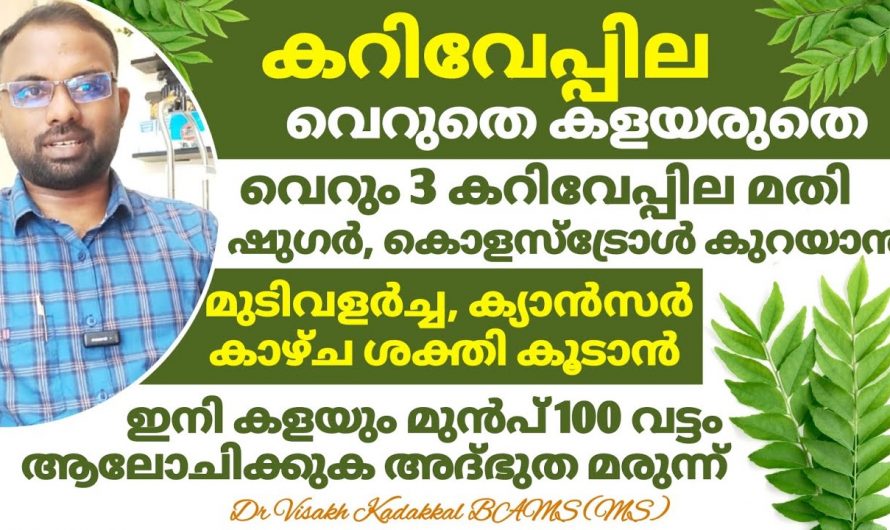 ഭക്ഷണത്തിലെ കറിവേപ്പില ഇനി വലിച്ചെറിയരുത്, ഇതിൻറെ ആരോഗ്യഗുണങ്ങൾ ആരെയും ഞെട്ടിക്കും…