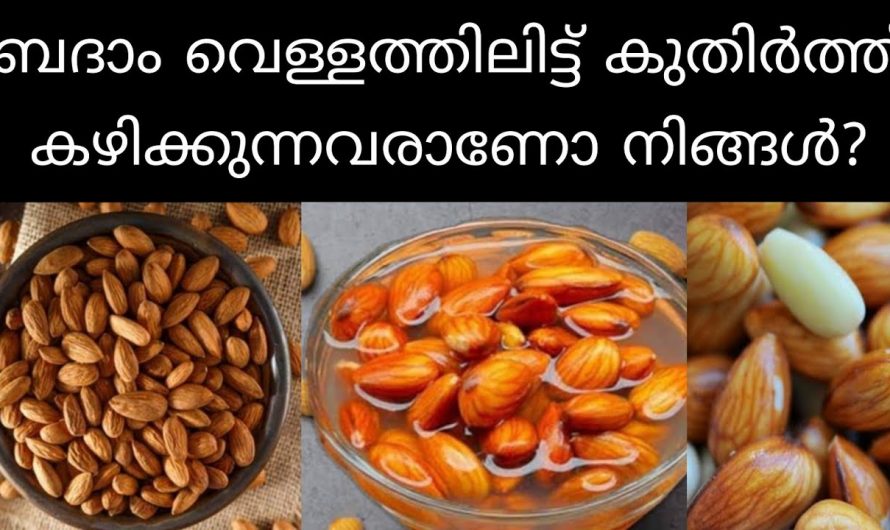 ദിവസവും ബദാം ഇങ്ങനെ കഴിച്ചാൽ പ്രമേഹവും കൊളസ്ട്രോളും ദിവസങ്ങൾക്കുള്ളിൽ കുറയും…