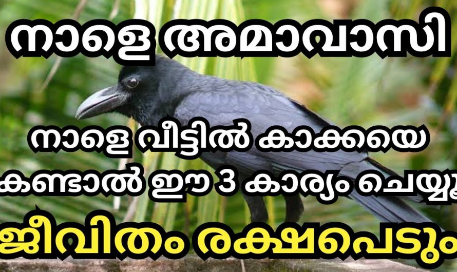 നാളത്തെ ദിവസം ഒരുപാട് ചെയ്തു നോക്കൂ നിങ്ങളുടെ ഏത് ആഗ്രഹവും നടക്കും….