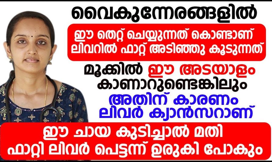 കരളിന്റെ പ്രവർത്തനം നിലച്ചു പോകാൻ നിങ്ങൾ ചെയ്യുന്ന ഈ തെറ്റാണ് കാരണം…