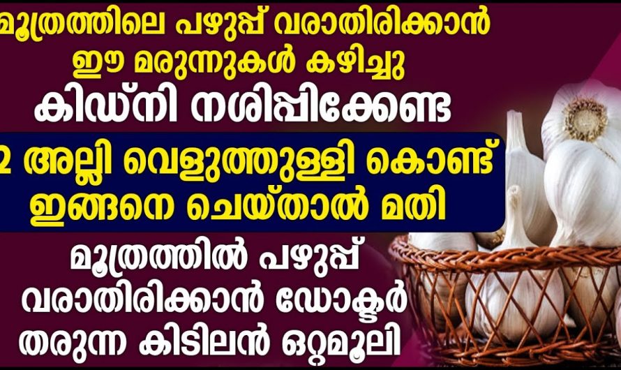 ഈ കാര്യങ്ങൾ ശ്രദ്ധിച്ചാൽ മൂത്രാശയ അണുബാധ ജീവിതത്തിൽ ഒരിക്കലും ഉണ്ടാവില്ല, പലർക്കും അറിയാത്ത അറിവ്…