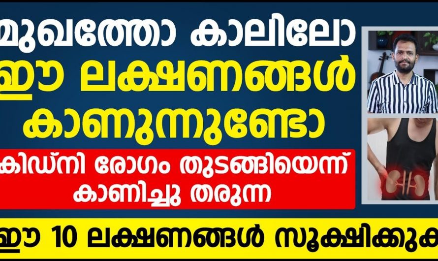 ശരീരത്തിലെ ഈ സൂചനകൾ നിങ്ങളുടെ വൃക്ക തകരാറിലാണ് എന്നത് അറിയിക്കുന്നു…