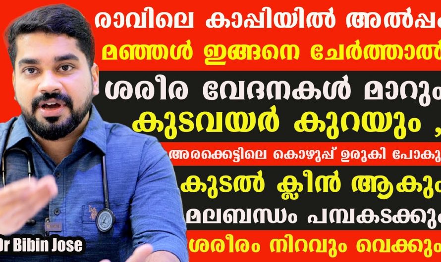 അമിതവണ്ണവും പൊണ്ണത്തടിയും കുറയ്ക്കാൻ ഇനി ജിമ്മിൽ പോകേണ്ട, ഈ ഭക്ഷണം ശീലമാക്കു…