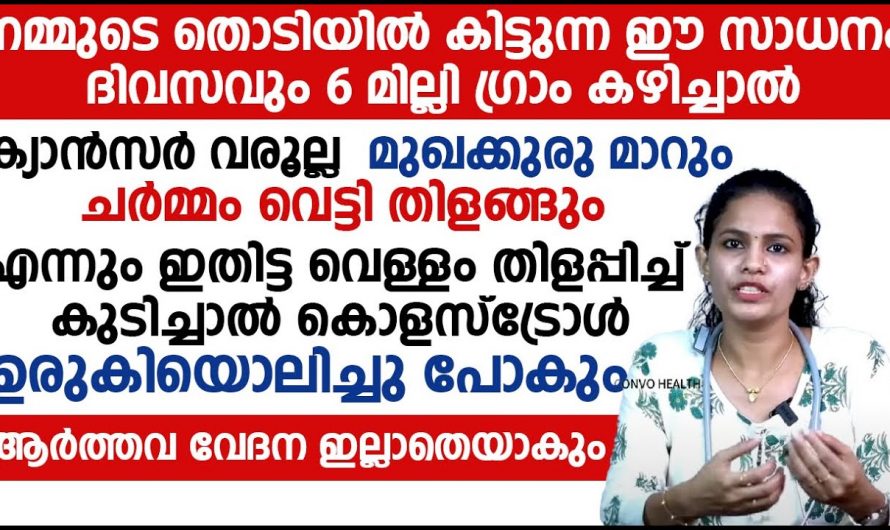 ദിവസവും ഒരു പേരയ്ക്ക കഴിച്ചാൽ പിന്നെ ഒരു രോഗത്തിനും മരുന്ന് കഴിക്കേണ്ടി വരില്ല, പേരക്കയുടെ ആരോഗ്യഗുണങ്ങൾ…