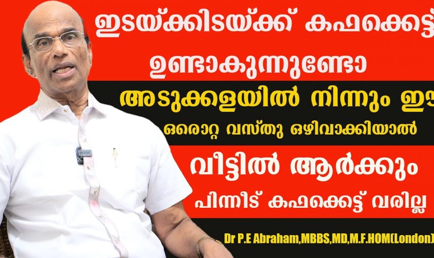 ആസ്മയുള്ളവർ ഇനി ഭയപ്പെടേണ്ട, എളുപ്പത്തിൽ സുഖപ്പെടുത്താൻ ഇതൊന്നു കേട്ട് നോക്കൂ…