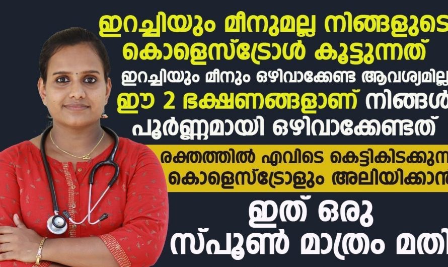 കൊളസ്ട്രോൾ ഉള്ളവർ ഈ ഭക്ഷണങ്ങൾ ഉറപ്പായും ഒഴിവാക്കുക, അല്ലെങ്കിൽ ചീത്ത കൊളസ്ട്രോൾ വർദ്ധിച്ച് കൊണ്ടിരിക്കും….