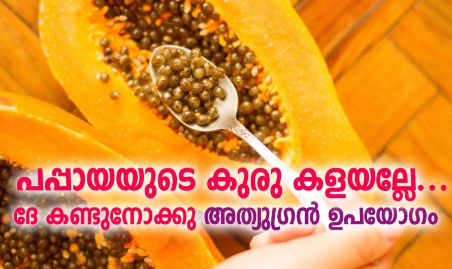 പപ്പായ കുരു കളയല്ലേ!! ഇത് കഴിച്ചാൽ ലഭിക്കുന്ന ആരോഗ്യഗുണങ്ങൾ ആരെയും ഞെട്ടിക്കും…