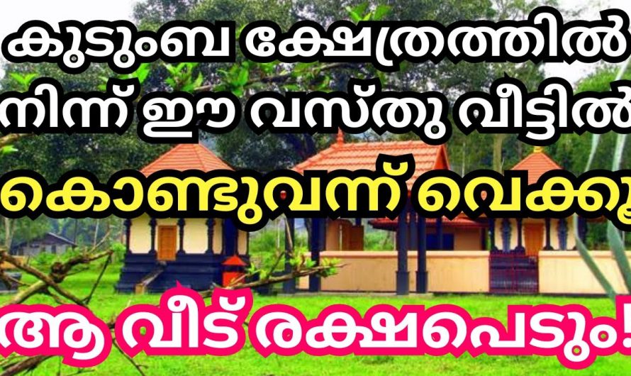 കുടുംബ ക്ഷേത്രത്തിൽ പോയി ഇങ്ങനെ ചെയ്താൽ ഉറപ്പായും നിങ്ങളുടെ ജീവിതം രക്ഷപ്പെടും…