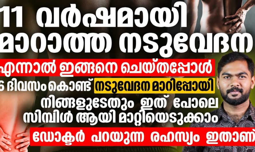 ദിവസങ്ങൾക്കുള്ളിൽ നടുവേദന പമ്പ കടക്കാൻ ഇതാ ഒരു കിടിലൻ തെറാപ്പി, ഉറപ്പായും റിസൾട്ട് കിട്ടും👌