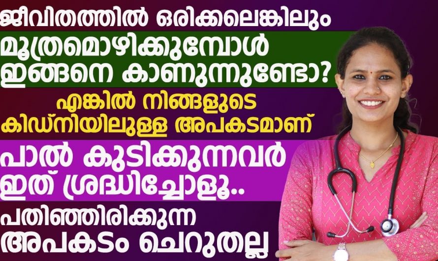 ശരീരത്തിലെ ഈ ലക്ഷണങ്ങൾ അവഗണിക്കരുത്, കിഡ്നി സ്റ്റോണിന്റെ തുടക്കമാണ് സൂക്ഷിക്കുക…