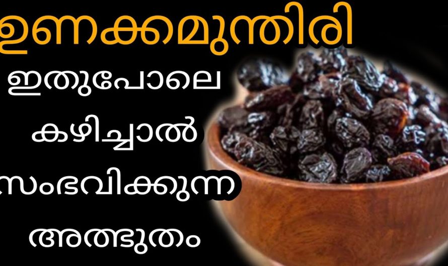 ഊർജ്ജത്തിന്റെ കലവറയായ ഇത് കഴിച്ചാൽ ചർമ്മം തിളങ്ങും, ഉണക്കമുന്തിരിയുടെ ഞെട്ടിക്കുന്ന ഗുണങ്ങൾ…