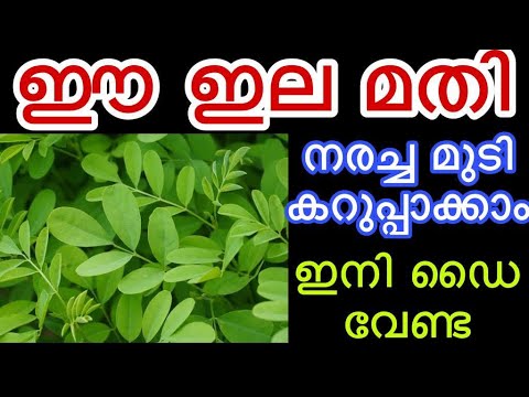 മുടി കറുപ്പിക്കാൻ ഇനി വീട്ടിൽ തയ്യാറാക്കാവുന്ന ഈ ഹെയർ ഡൈ മതി, അടിപൊളി റിസൾട്ട്👌