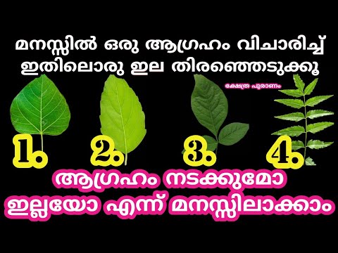 ഇവയിൽ നിന്നും ഒരെണ്ണം തിരഞ്ഞെടുക്കുക, നിങ്ങളുടെ ആഗ്രഹം നടക്കുമോ ഇല്ലയോ എന്ന് അറിയാം…