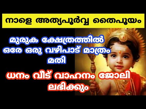 നാളത്തെ ദിവസം മുരുക ഭഗവാന് ഈ വഴിപാടുകൾ നടത്തൂ, നിങ്ങളുടെ ജീവിതം മാറിമറിയും…