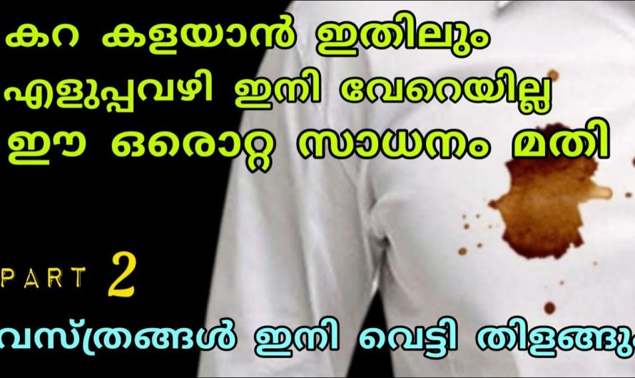 വസ്ത്രങ്ങളിലെ രക്തക്കറയും വാഴ കറയും കളയാൻ ഈ ഒരു സാധനം മതി, കിടിലൻ ട്രിക്ക്👌