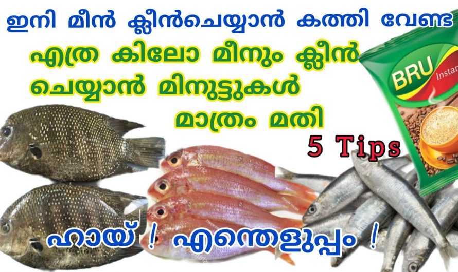 ആദ്യമായി മീൻ ക്ലീൻ ചെയ്യുന്നവർക്ക് പോലും എളുപ്പത്തിൽ ചെയ്യാനുള്ള ഒരു കിടിലൻ വഴി👌