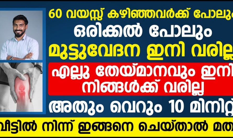 ഭക്ഷണത്തിൽ ഇവ ഉൾപ്പെടുത്തൂ എല്ലുകൾക്ക് ഇരട്ടി ബലം ലഭിക്കും, ഡോക്ടർ നൽകുന്ന അറിവ്…