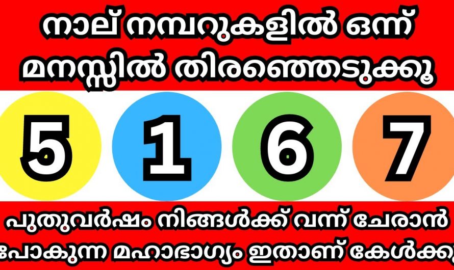 2024ൽ നിങ്ങളുടെ ജീവിതത്തിൽ എന്ത് സംഭവിക്കും എന്ന് അറിയുന്നതിന് ഇതിൽ നിന്നും ഒരു നമ്പർ തിരഞ്ഞെടുക്കൂ!