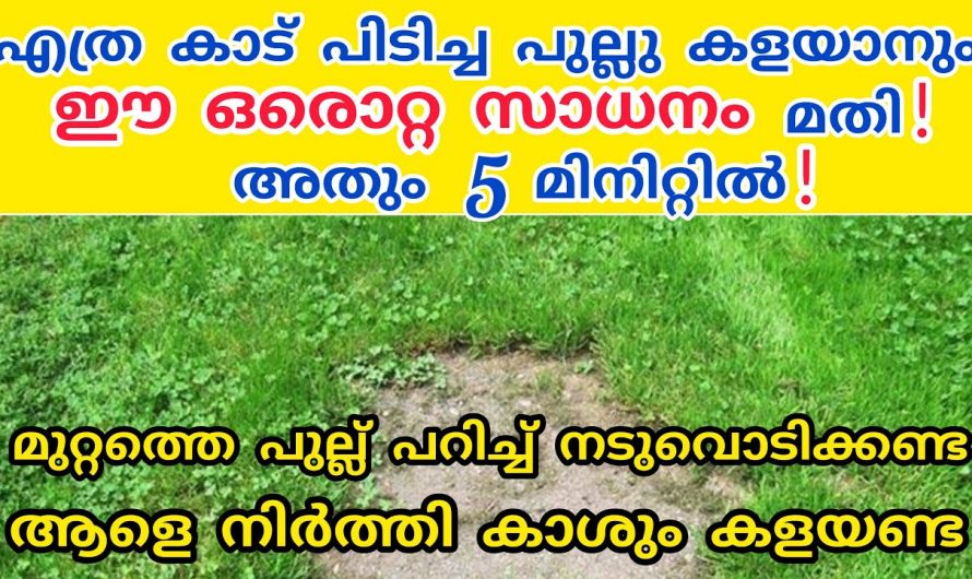 ഇനി പുല്ല് പറിച്ചു കളയാൻ ബുദ്ധിമുട്ടേണ്ട, ഇതാ ഒരു കിടിലൻ വഴി👌