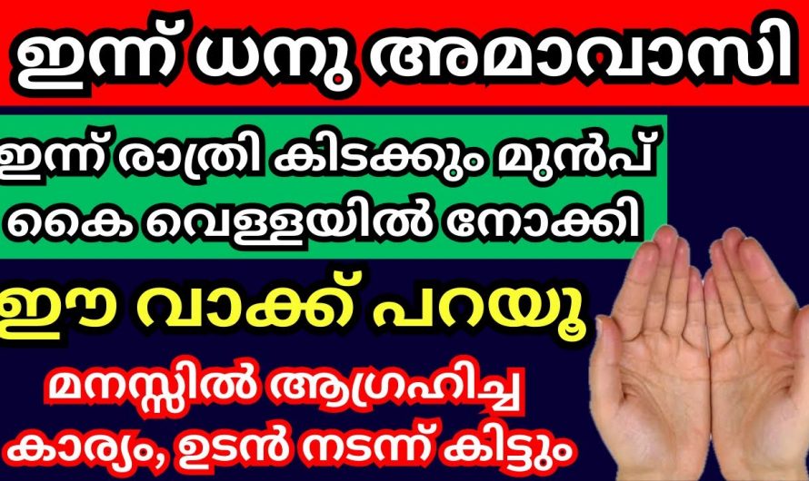 ഇന്നത്തെ ദിവസം ഈ ഒരു കാര്യം ചെയ്താൽ നിങ്ങളുടെ ഏത് ആഗ്രഹവും ഹനുമാൻ സ്വാമി നടത്തി തരും…