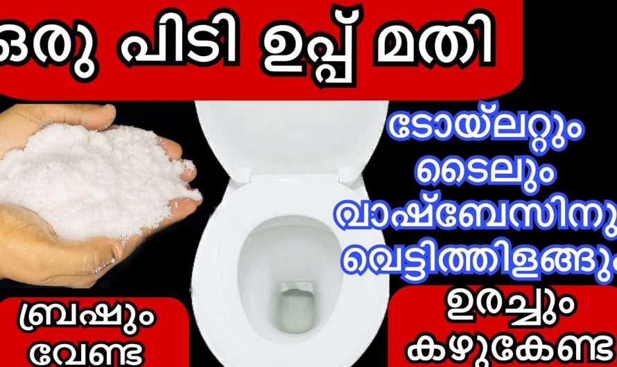 കറപ്പിടിച്ച ബാത്റൂമും ക്ലോസറ്റും പുതുപുത്തൻ ആക്കാൻ വീട്ടിൽ തന്നെ ഈ ലിക്വിഡ് തയ്യാറാക്കാം…