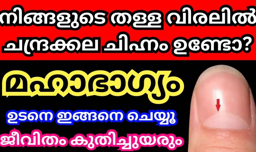 നിങ്ങളുടെ തള്ളവിരലിൽ ഈ ചിഹ്നം ഉണ്ടെങ്കിൽ സൗഭാഗ്യങ്ങൾ നിങ്ങളെ തേടി വരും…