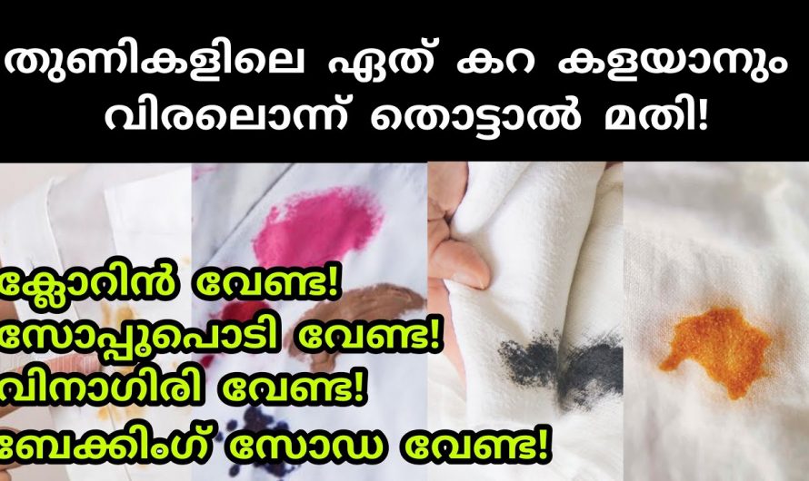 വെളുത്ത തുണികളിൽ പറ്റി പിടിച്ചിരിക്കുന്ന ഏത് കറയും നിമിഷങ്ങൾക്കുള്ളിൽ കളയാൻ ഈ ഒരു സാധനം മതി😱