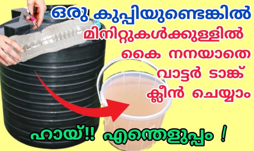 വീട്ടിലെ വാട്ടർ ടാങ്ക് എളുപ്പത്തിൽ ക്ലീൻ ചെയ്യാൻ ഇതാ ഒരു കിടിലൻ വഴി👌