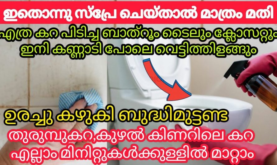 കറപിടിച്ച ടൈലും ക്ലോസറ്റും പുതു പുത്തൻ ആക്കാൻ ഈ സൂത്രം ഉപയോഗിച്ച് നോക്കൂ…