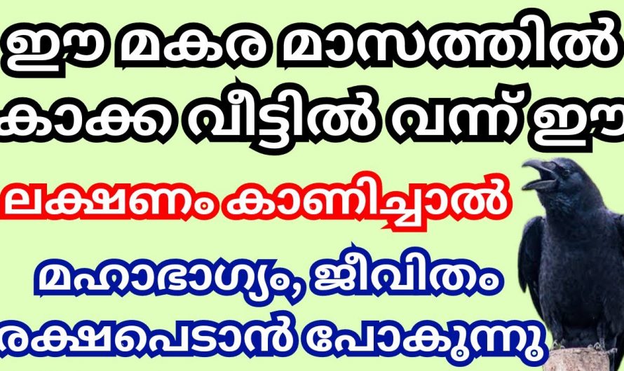 മകര മാസത്തിൽ കാക്ക ഈ ലക്ഷണങ്ങൾ കാണിച്ചു തന്നാൽ ഉറപ്പിച്ചോളൂ നിങ്ങൾക്ക് മഹാഭാഗ്യം വരാൻ പോകുന്നു…