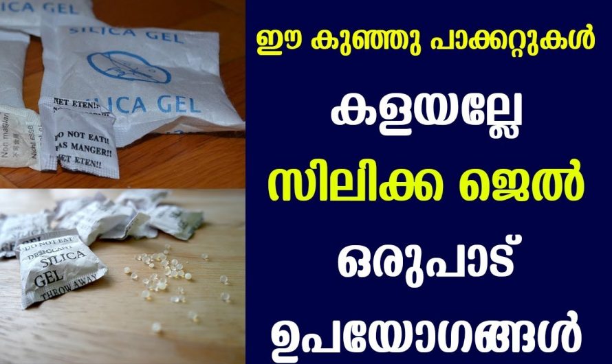 ഇനി സിലിക്ക ജെൽ കിട്ടിയാൽ കളയേണ്ട! ഇതിൻറെ അത്ഭുതപ്പെടുത്തും ഗുണങ്ങൾ…