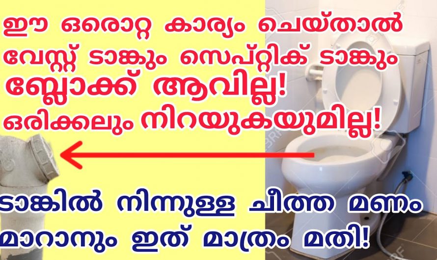 വേസ്റ്റ് കുഴി നിറയാതിരിക്കാനും ദുർഗന്ധം വരാതിരിക്കാനും ഉള്ള ഒരു കിടിലൻ ഐഡിയ👌