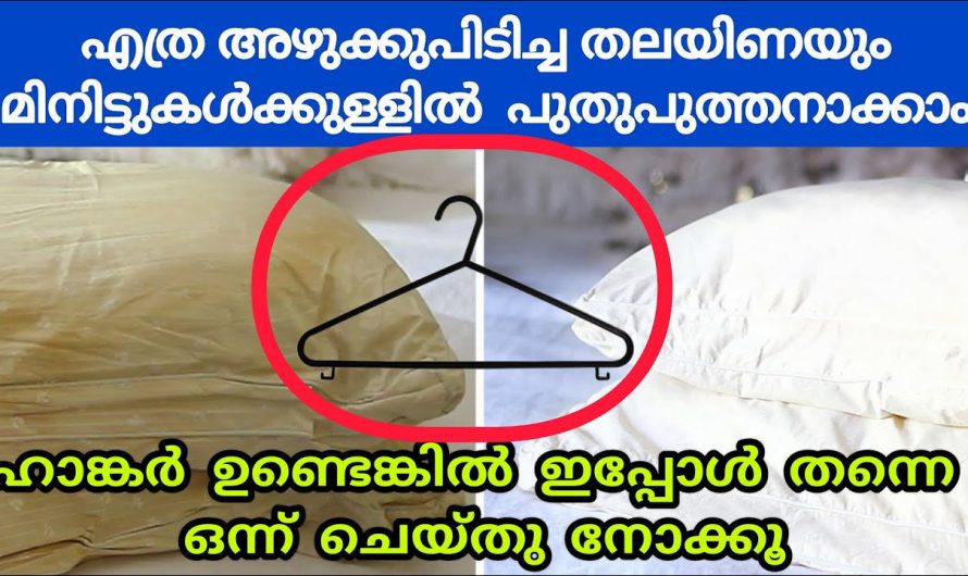 എത്ര പഴകിയ തലയിണയും പുതു പുത്തൻ ആക്കി മാറ്റാൻ ഇങ്ങനെ ചെയ്തു നോക്കൂ…