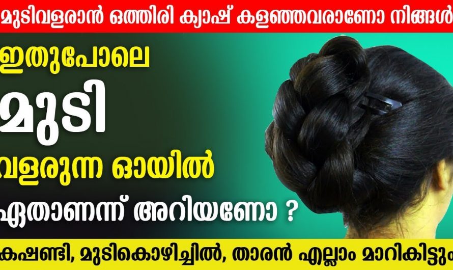 എത്ര വളരാത്ത മുടിയും വളരും, ഇതാ ഒരു കിടിലൻ ഹെയർ ഓയിൽ…