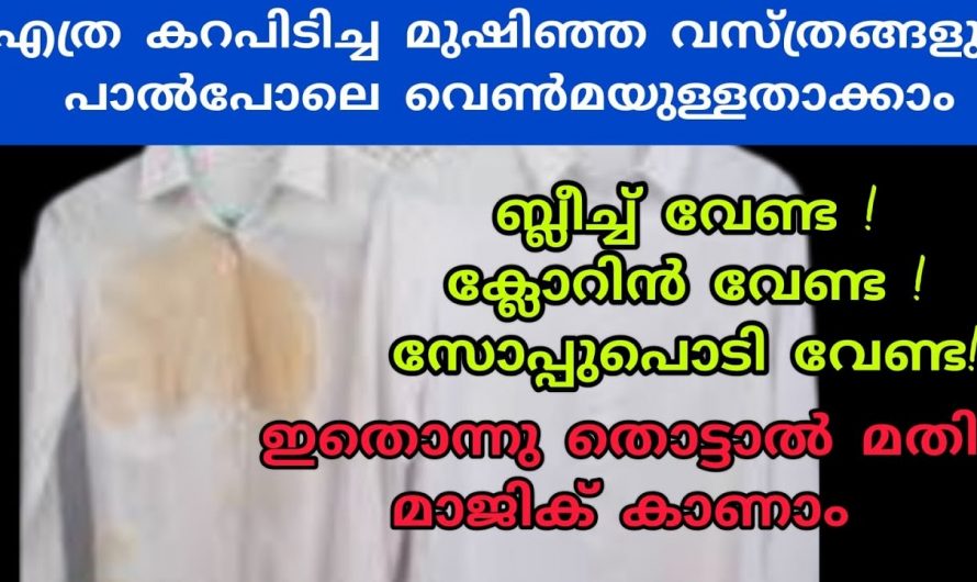 വെളുത്ത വസ്ത്രങ്ങളിലെ കറകൾ അകറ്റി പാൽപോലെ വെൺമയുള്ളതാക്കാൻ ഒരു അടിപൊളി ടിപ്പ്…