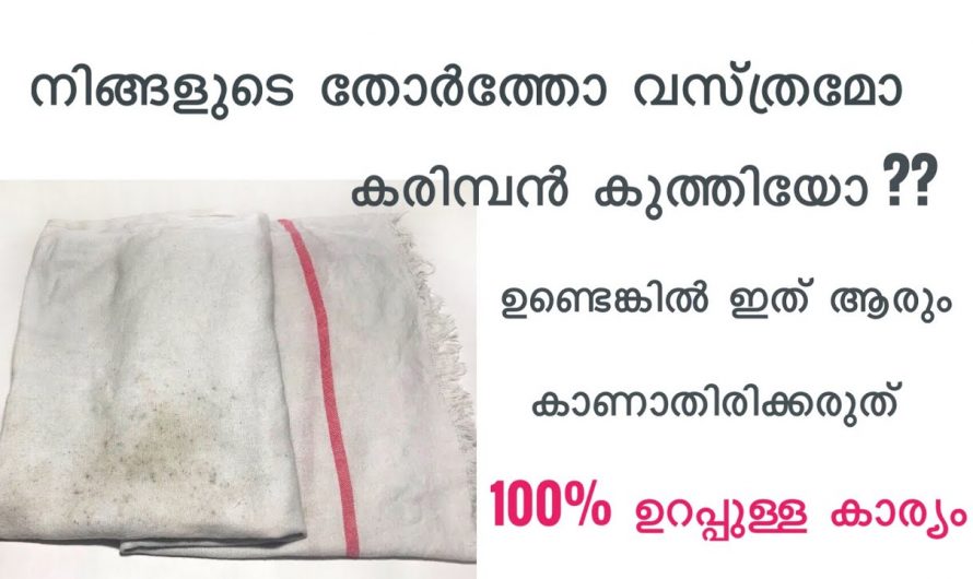 കരിമ്പൻ പിടിച്ച തോർത്തും മുണ്ടും വളരെ എളുപ്പത്തിൽ വൃത്തിയാക്കാം…