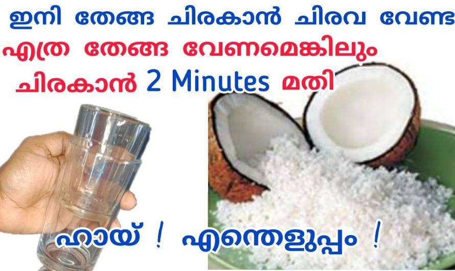 തേങ്ങ ചിരവിയത് ഇനി മാസങ്ങളോളം സൂക്ഷിക്കാം, ഈ കിടിലൻ ടിപ്പ് അറിഞ്ഞാൽ…