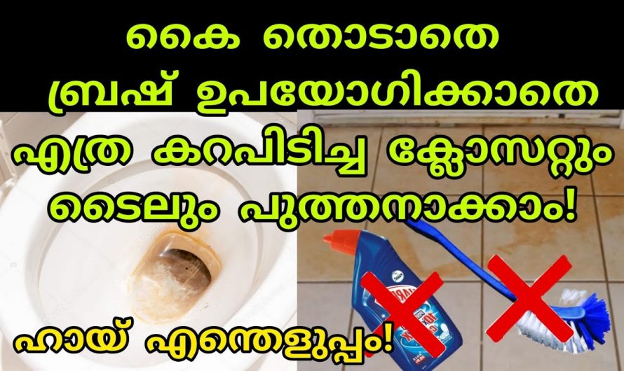 എത്ര കറപിടിച്ച ക്ലോസറ്റും നിമിഷങ്ങൾക്കുള്ളിൽ ക്ലീൻ ആകും, ഈ സൂത്രം അറിഞ്ഞാൽ മതി…