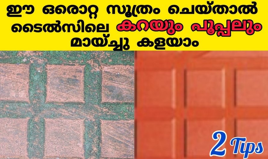 ടൈലുകളിലെ കറ കളയാൻ ഇതിലും എളുപ്പവഴി ഇനി വേറെയില്ല, ഇതൊന്നു ചെയ്തു നോക്കൂ…