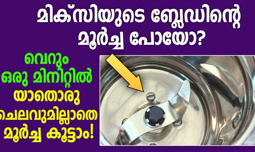 എത്ര വർഷം ആയാലും മിക്സിയുടെ ബ്ലേഡിന്റെ മൂർച്ച കുറയില്ല, ഇങ്ങനെ ചെയ്തു നോക്കൂ…