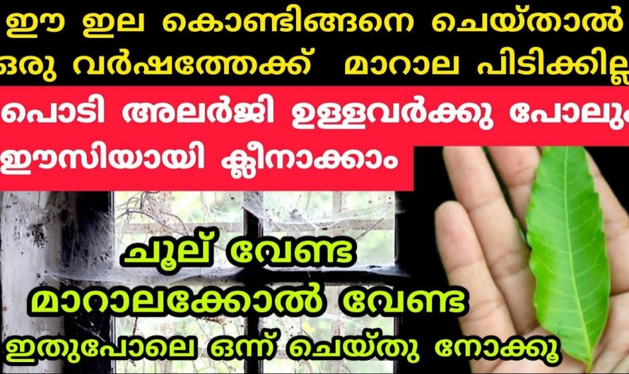 എത്ര ദിവസം കഴിഞ്ഞാലും വീട്ടിൽ മാറാല പിടിക്കില്ല, ഈ ഒരു സൂത്രം ചെയ്തു നോക്കൂ…